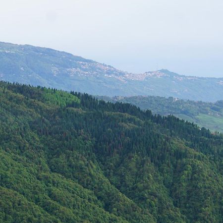 Tranquil Retreat Homestay Ghum Εξωτερικό φωτογραφία