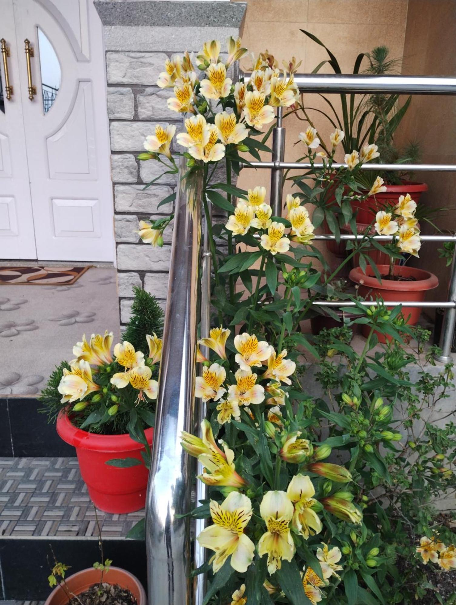 Tranquil Retreat Homestay Ghum Εξωτερικό φωτογραφία