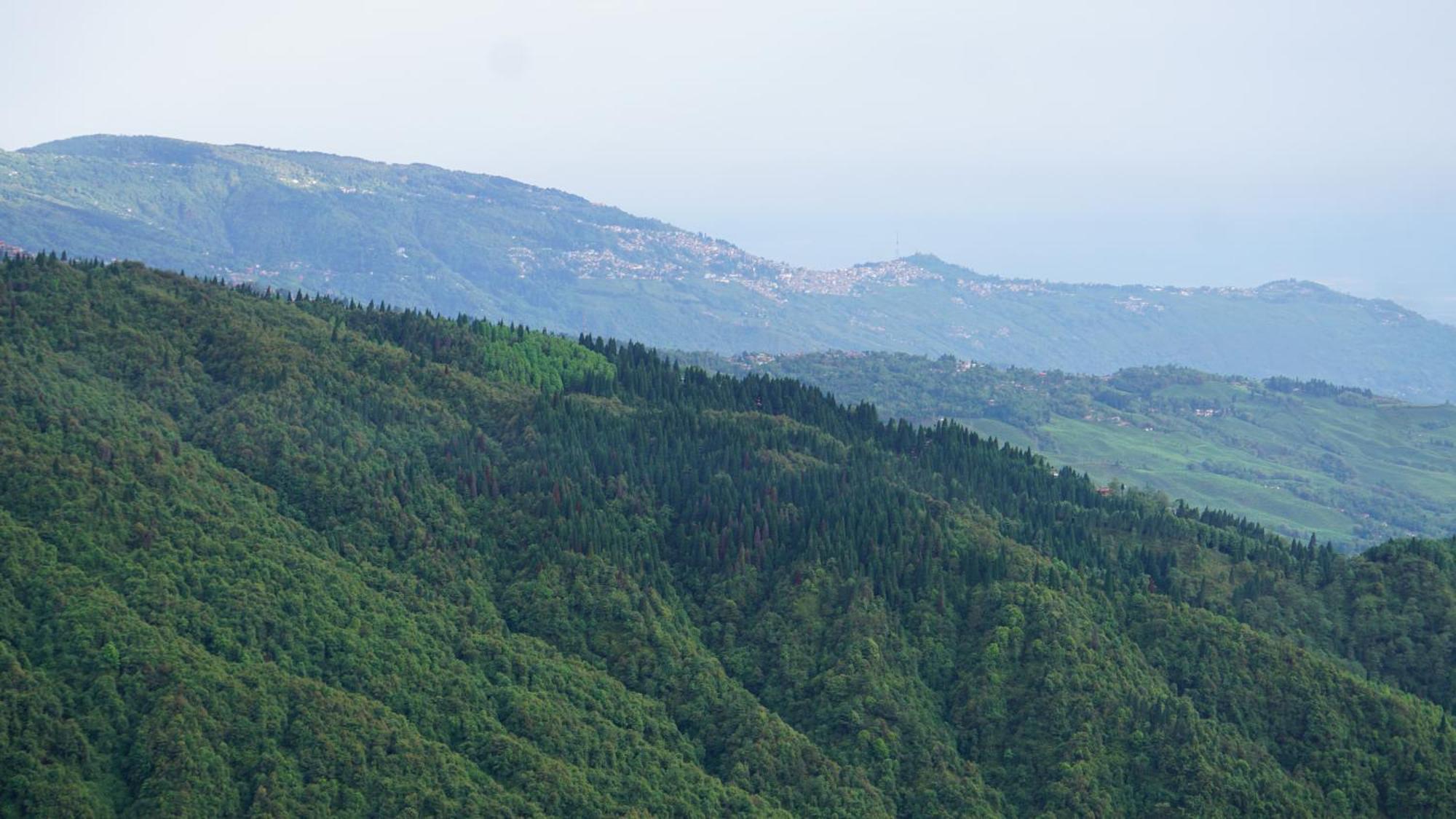 Tranquil Retreat Homestay Ghum Εξωτερικό φωτογραφία