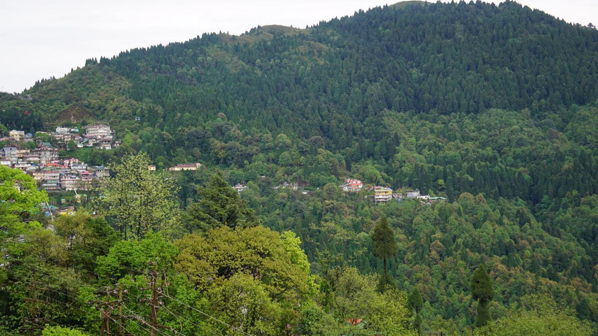 Tranquil Retreat Homestay Ghum Εξωτερικό φωτογραφία