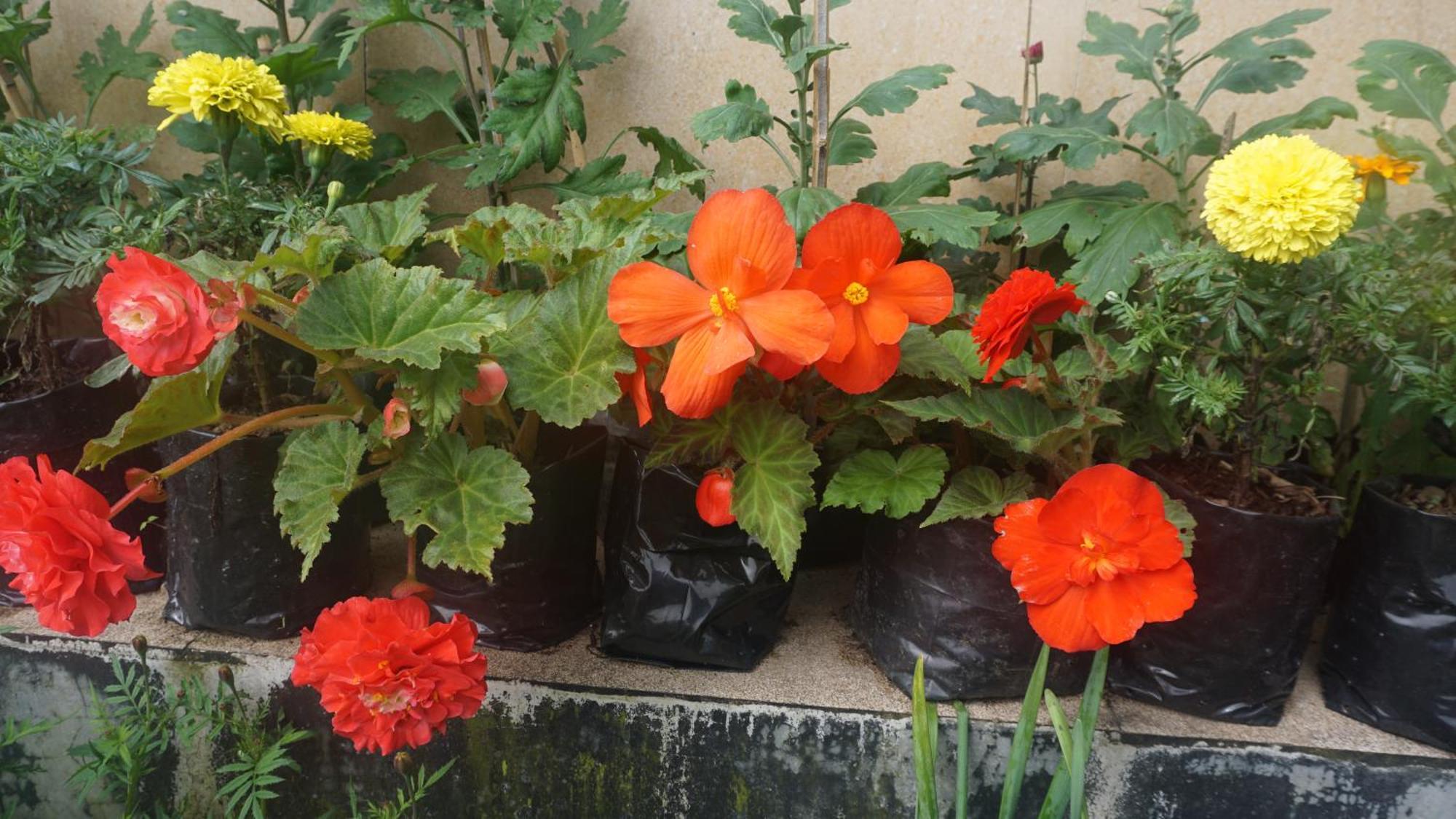 Tranquil Retreat Homestay Ghum Εξωτερικό φωτογραφία