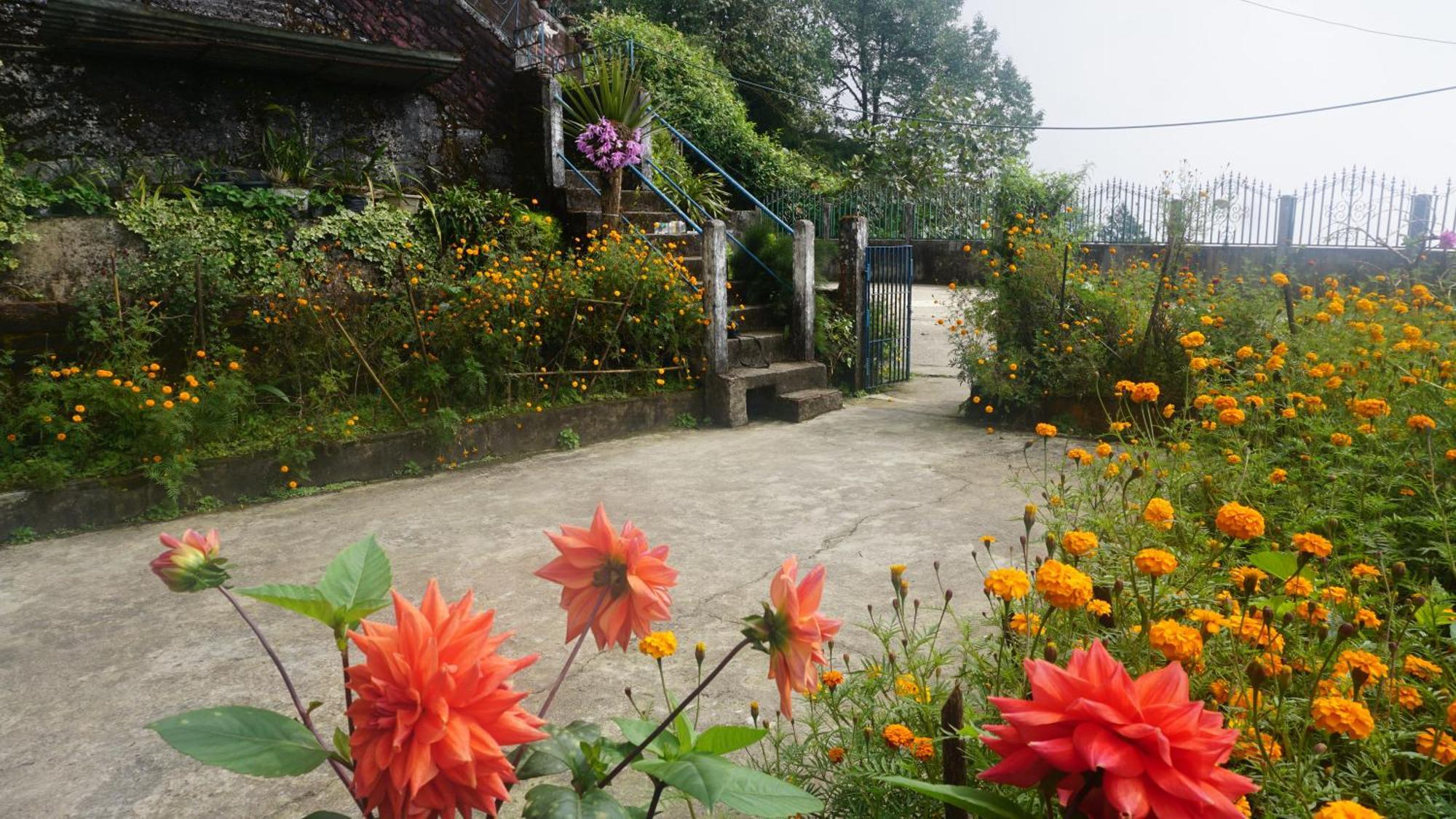 Tranquil Retreat Homestay Ghum Εξωτερικό φωτογραφία