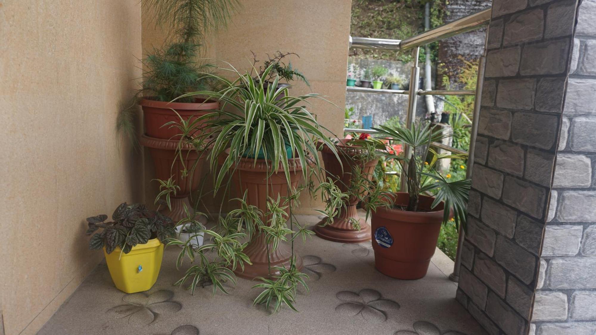 Tranquil Retreat Homestay Ghum Εξωτερικό φωτογραφία