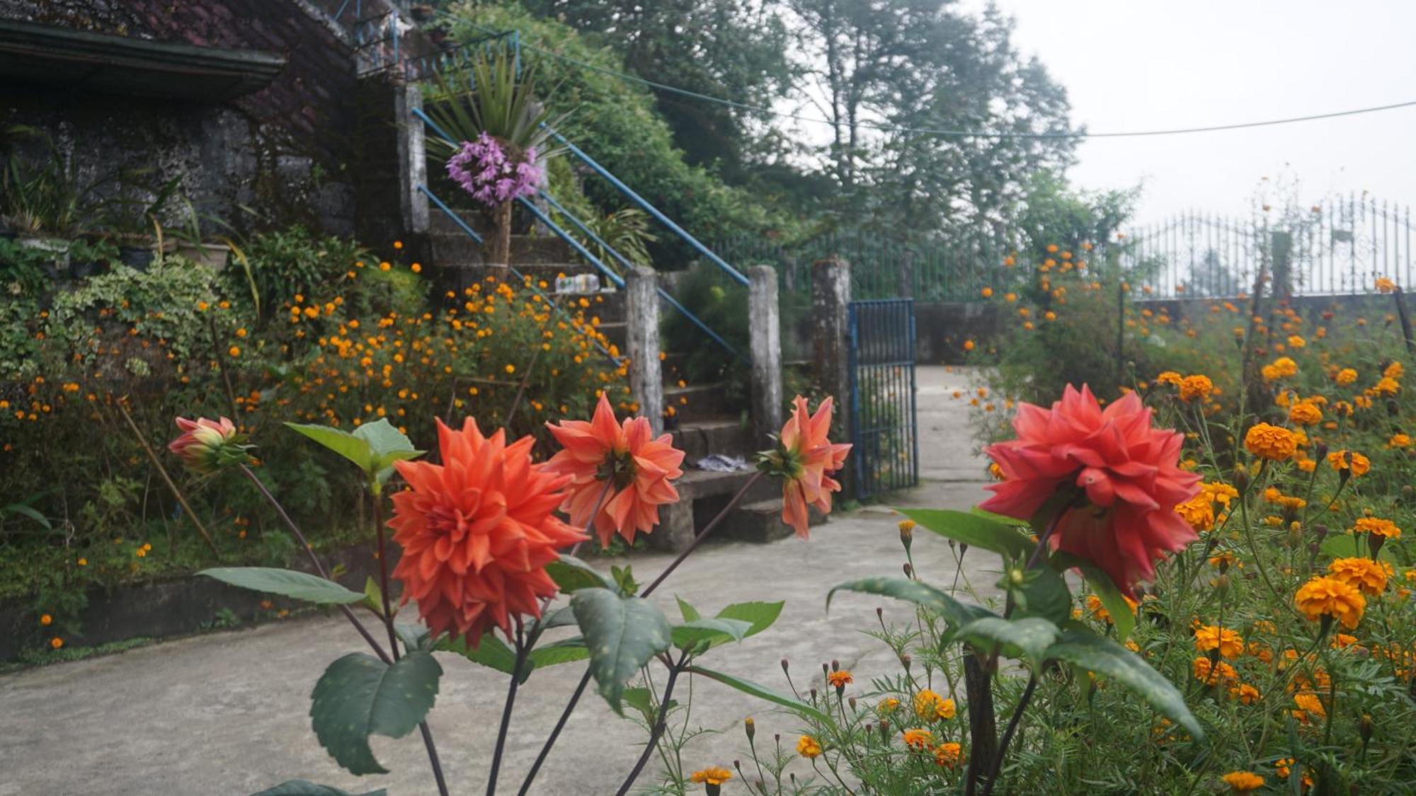 Tranquil Retreat Homestay Ghum Εξωτερικό φωτογραφία